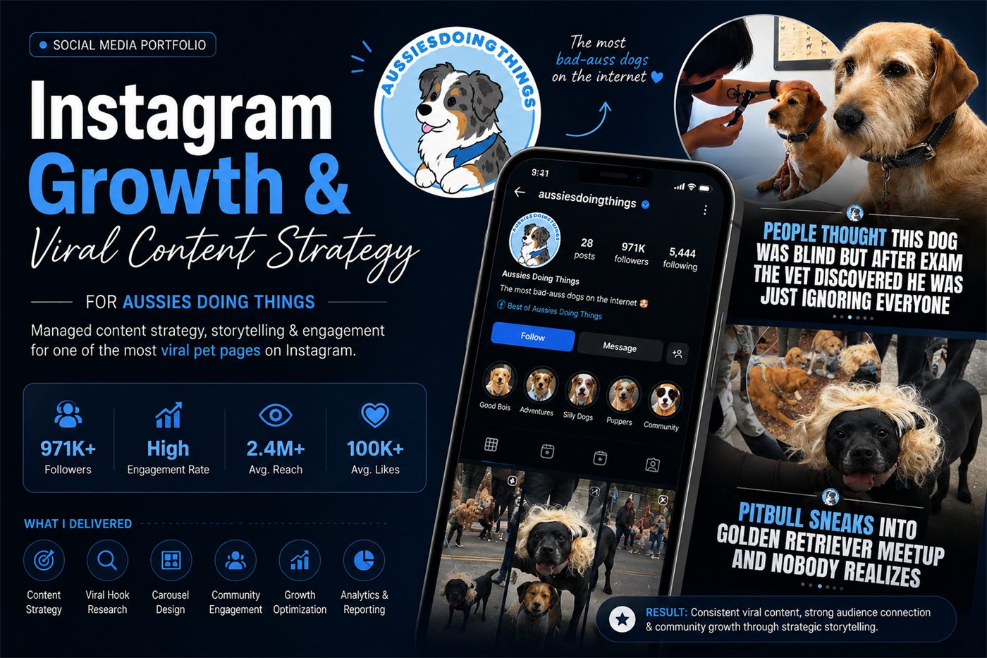 Instagram organic growth management across multiple niches